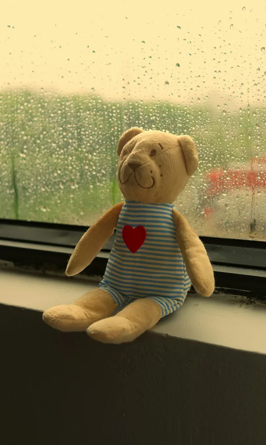 Osito de peluche junto a una ventana con luz suave