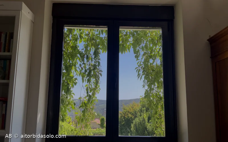 Ventana con madreselva y montañas de Guadalajara al fondo, vista desde la habitación de Aitor Bidásolo en Horche