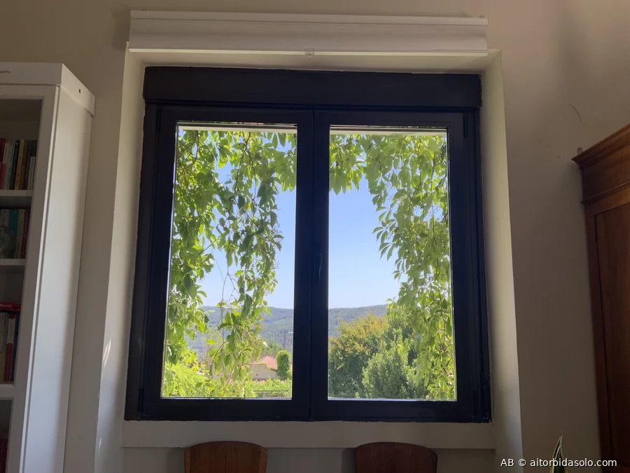 Ventana con madreselva y hojas verdes enmarcando el exterior, vistas a la sierra desde Horche, Guadalajara