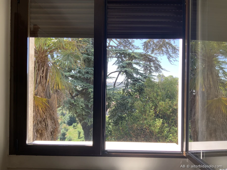 Ventana con la palmera y el árbol grande, visto desde el interior de la casa en Horche