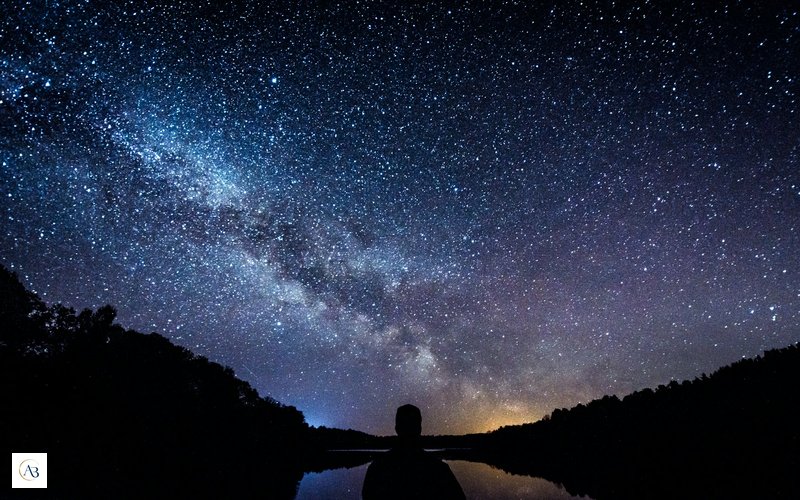 Luz entre árboles como símbolo de energía, conciencia y campo cuántico