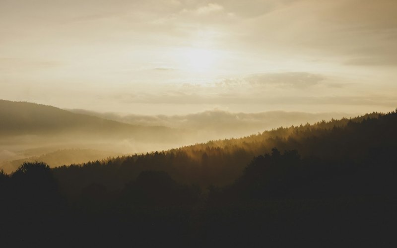 Montañas con árboles al atardecer — felicidad, gratitud y presencia