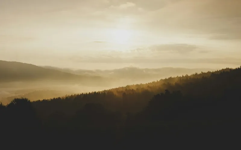 Montañas con árboles al atardecer — felicidad, gratitud y presencia