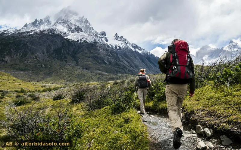 Grupo de personas caminando al aire libre como símbolo de comunidad, salud y movimiento compartido