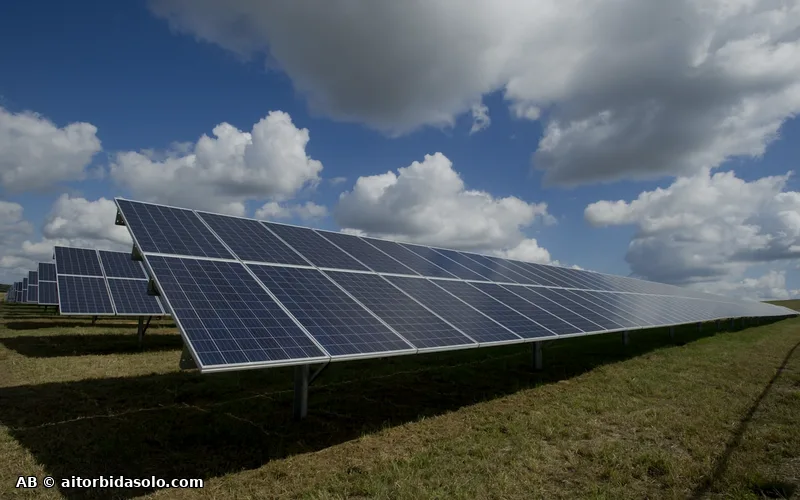 Paneles solares sobre un campo al atardecer, representando energías renovables y estrategia consciente